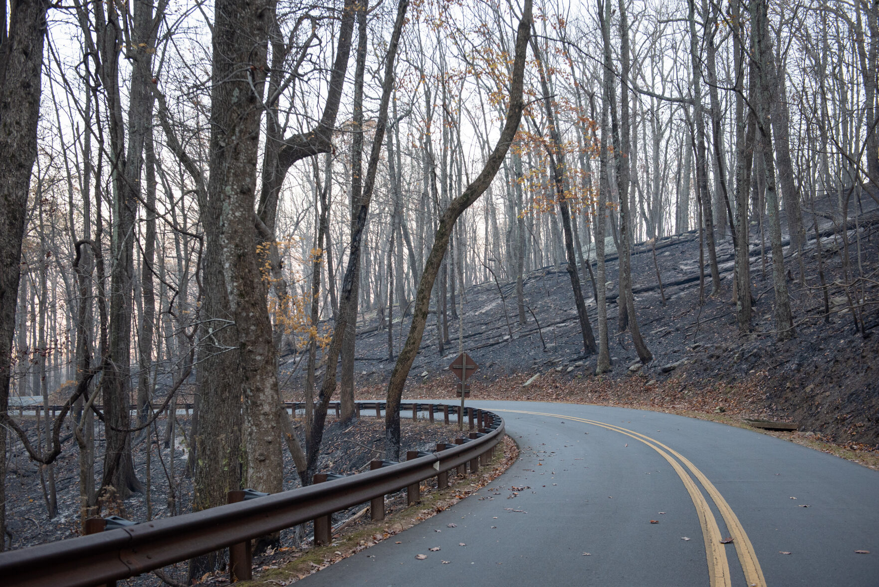 Pilot Mountain Fire Damage